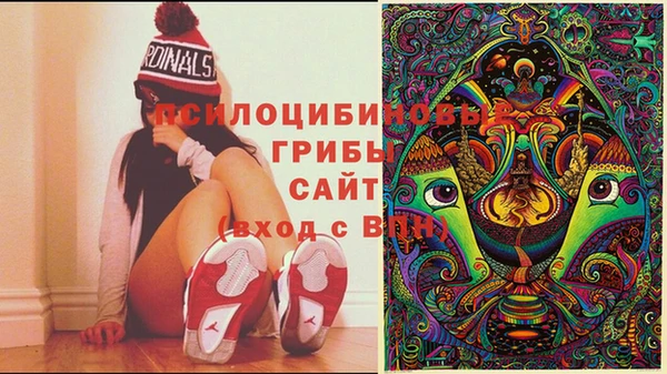 стаф Баксан