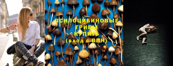 стаф Баксан