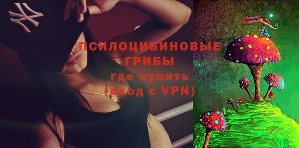 твердый Балахна